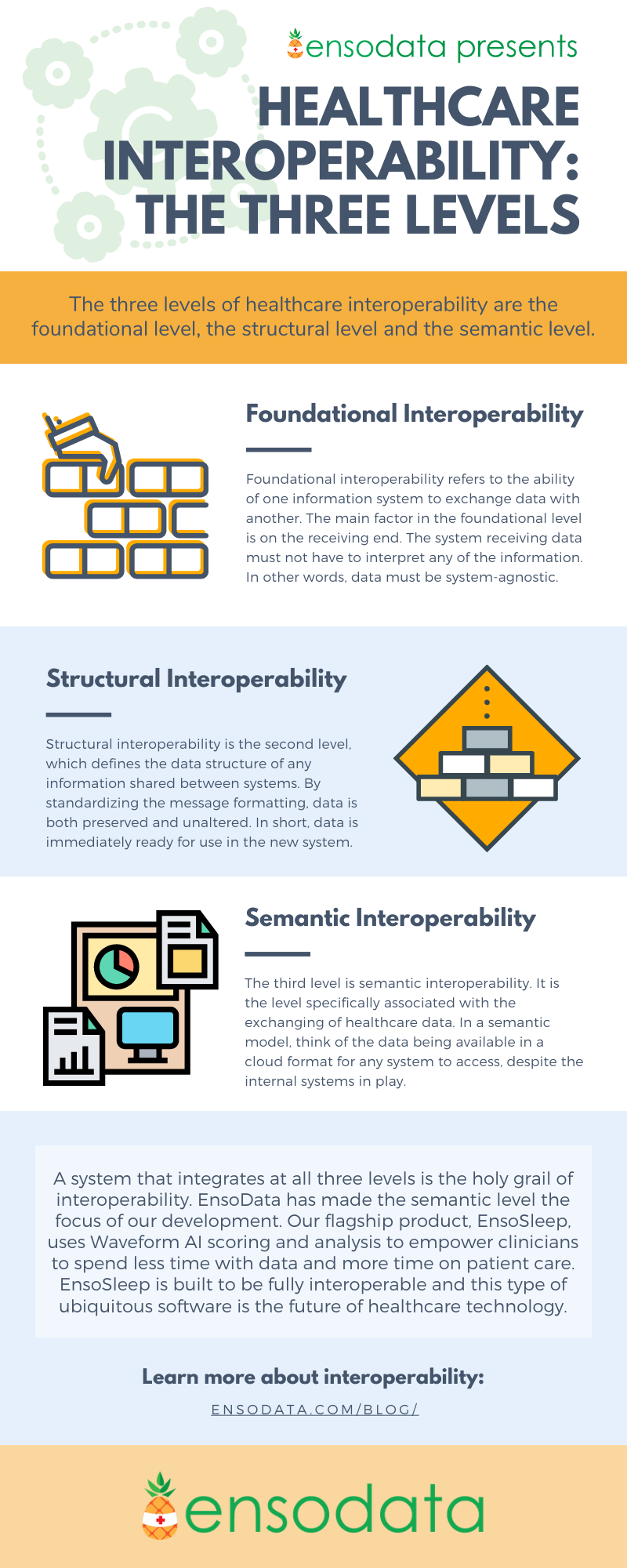 Healthcare Interoperability: The Three Levels by EnsoData